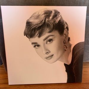 Audrey Hepburn wall hanging ❤️